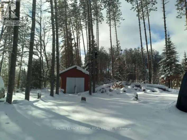 1106 HOMESTEAD ROAD, Highlands East