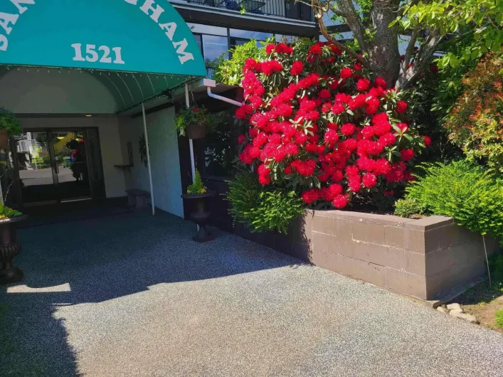 111 1521 BLACKWOOD STREET, White Rock