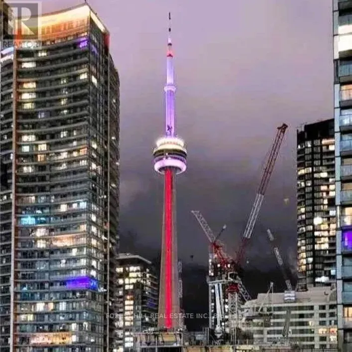 1110 - 125 PETER STREET, Toronto