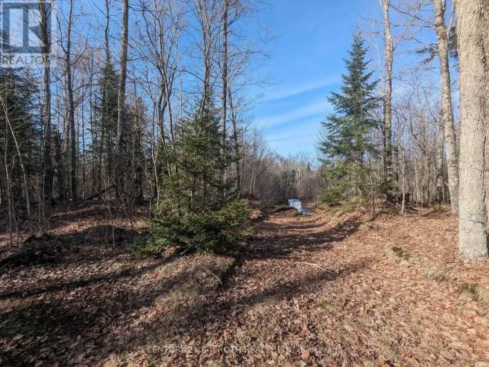 11146 HIGHWAY 118, Algonquin Highlands