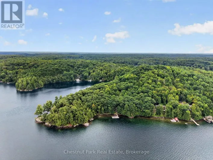 1119 - 28 SKELETON LAKE 2 RD ROAD, Muskoka Lakes