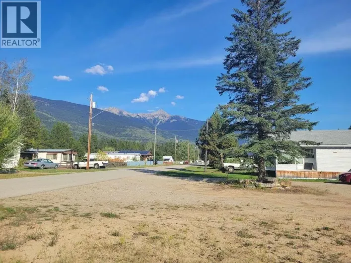 1123 14TH AVENUE, Valemount