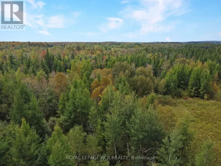 1125XX GREY ROAD 14 ROAD, Southgate