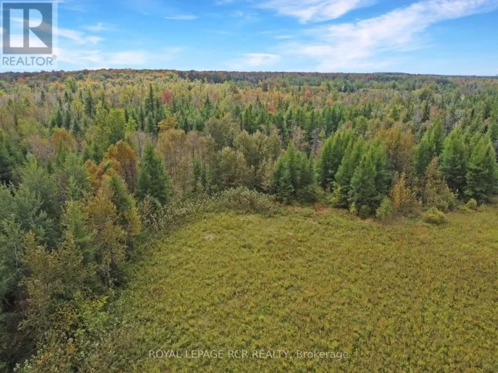 1125XX GREY ROAD 14 ROAD, Southgate