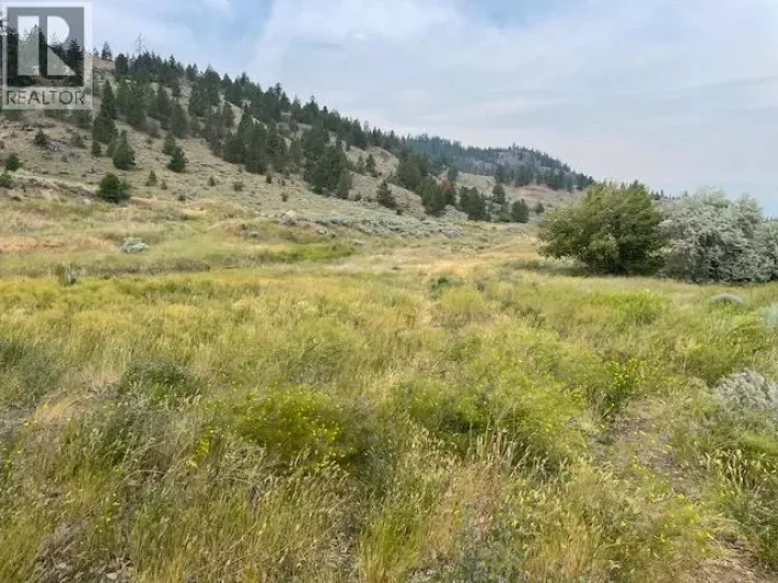 1129 Midday Valley Road, Merritt