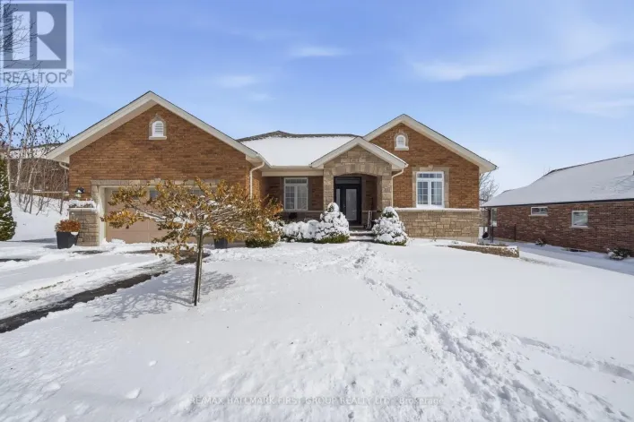 113 PINNACLE STREET, Brighton