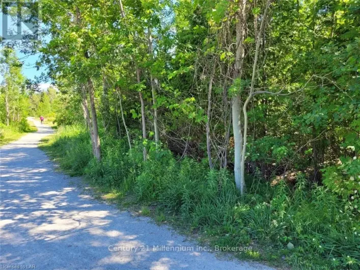11325 26 HIGHWAY, Collingwood