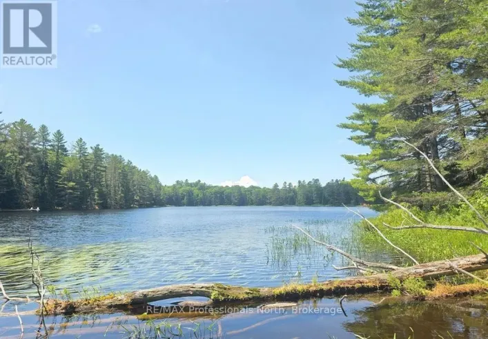 1134 WALKERS LINE ROAD, Algonquin Highlands