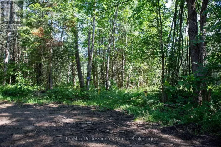 1137 BLACKMORE ROAD, Bracebridge