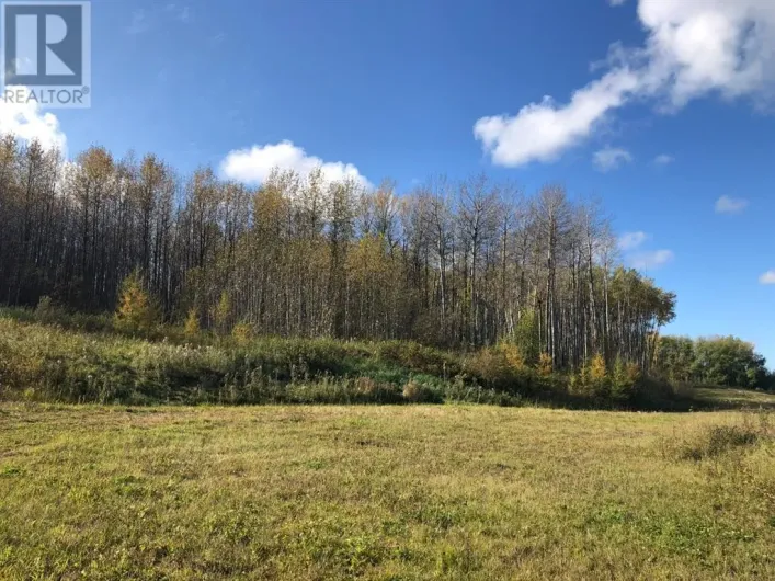 115, 16326 Twp Rd 675, Plamondon
