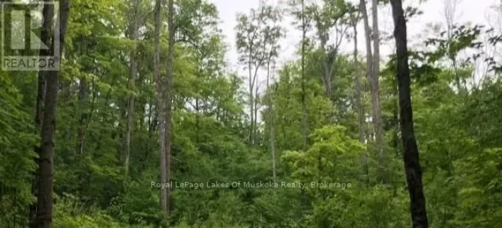 1154 DELIA ROAD, Bracebridge