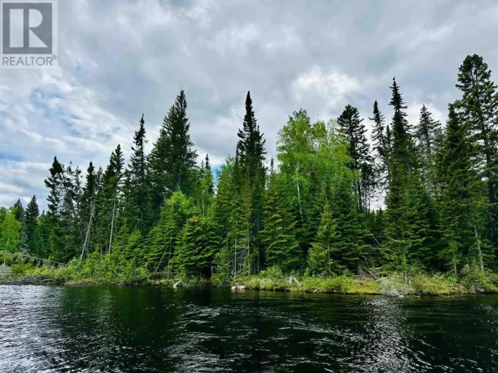 116 McManus ST, Balmertown