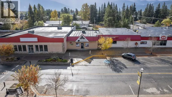 1163 5TH AVENUE, Valemount