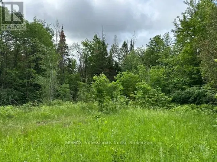 1164 RAVINE ROAD, Minden Hills