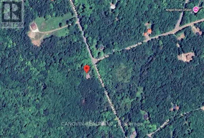1170 BUSH WOLF LAKE ROAD, Dysart et al