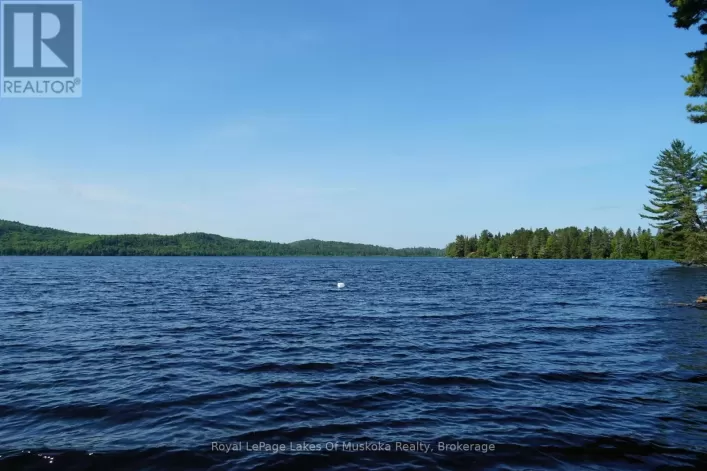 1173 LAKE OF TWO RIVERS, South Algonquin