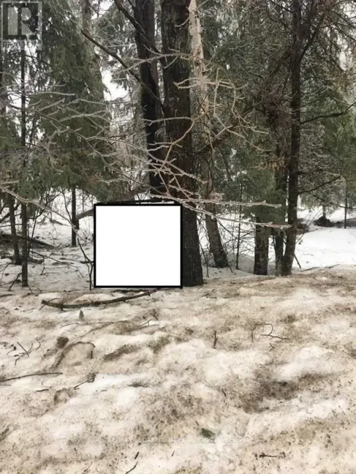 1173 SOUTH BAPTISTE LAKE ROAD, Hastings Highlands