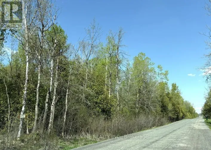 11865 (PTLT23) ARMSTRONG ROAD, North Dundas
