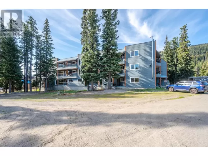 1191 Apex Mountain Road Unit# 202, Apex Mountain