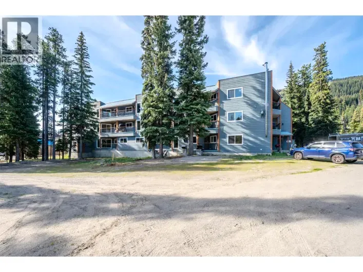 1191 Apex Mountain Road Unit# 202, Apex Mountain
