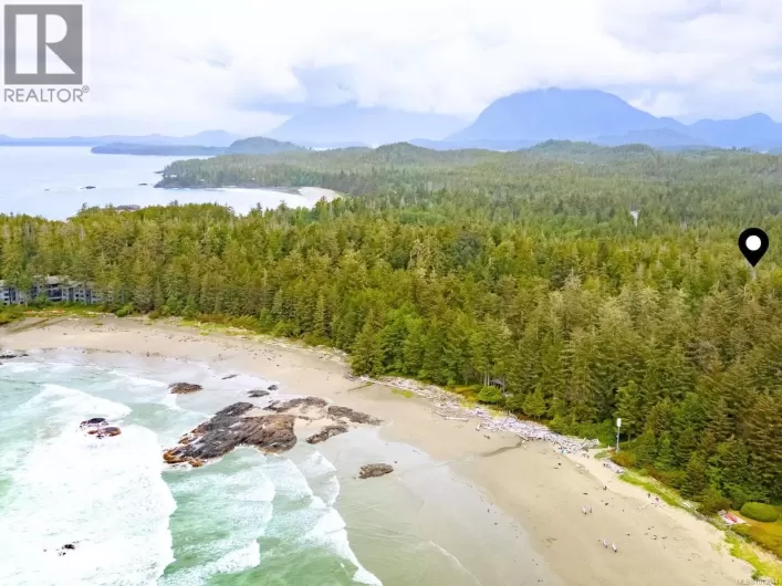 1193 Lynn Rd, Tofino
