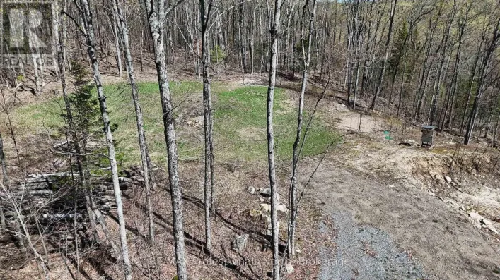 1199 CEDAR LAKE ROAD, Highlands East