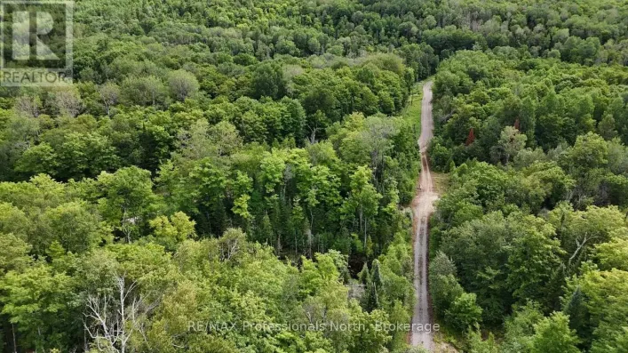 1199 CEDAR LAKE ROAD, Highlands East