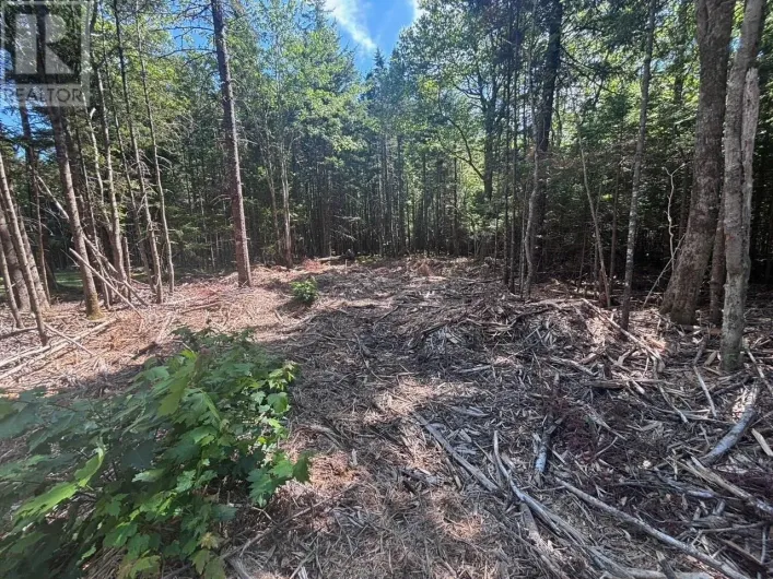 11A Nicholas Drive, Hammonds Plains