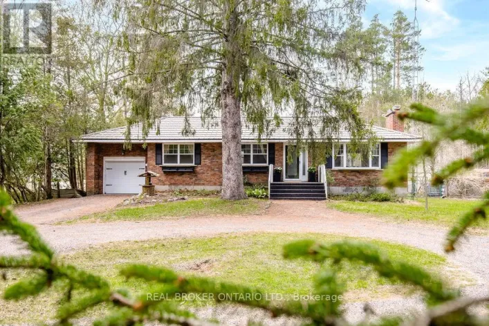 12 ALEXANDER STREET, Springwater