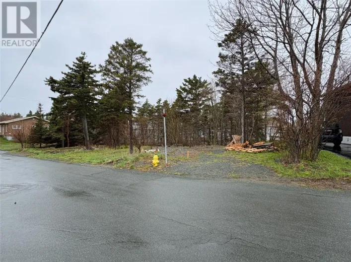 12 Browns Lane, Conception Bay South