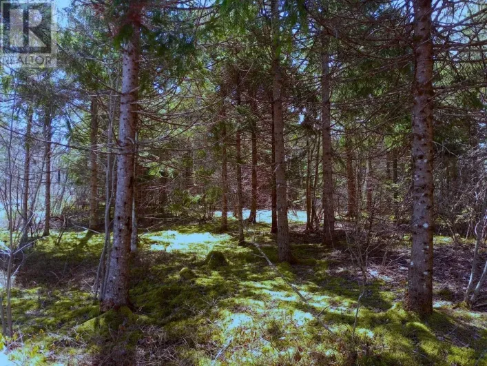 12 Johnny Cash Lane, Juniper Mountain