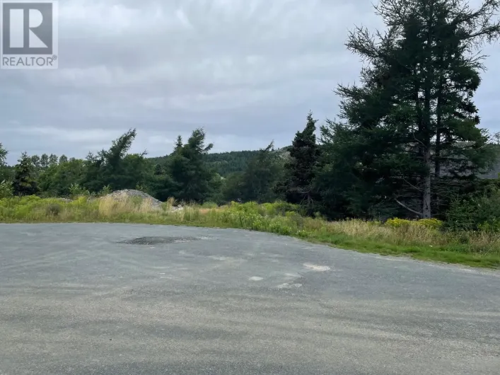 12, Lot 11 Blueberry Place, Brigus