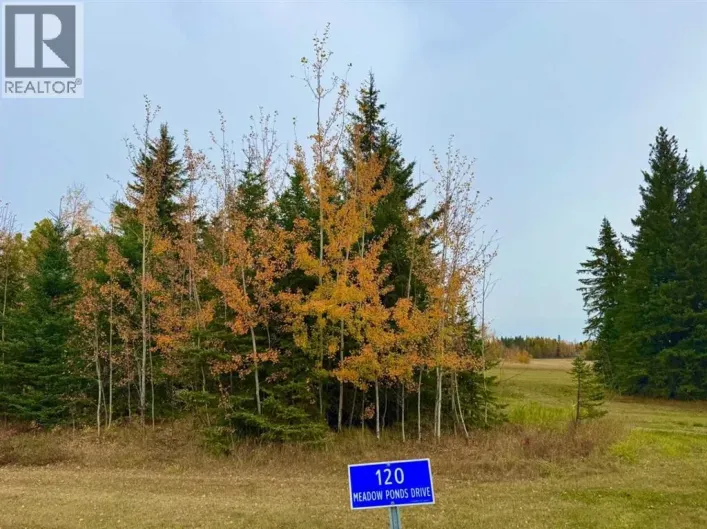 120 Meadow Ponds Drive, Rural Clearwater County