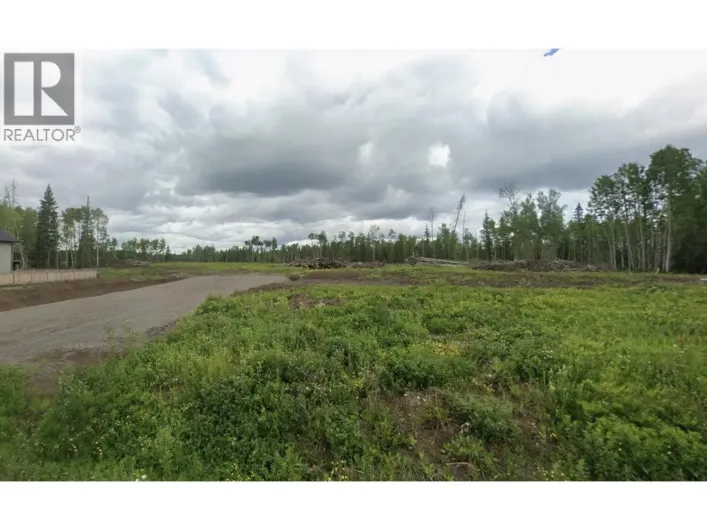 1209 N BLACKBURN ROAD, Prince George
