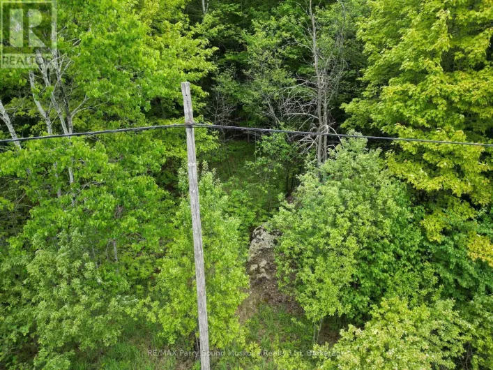 1-22342 EAST ROAD, Parry Sound Remote Area