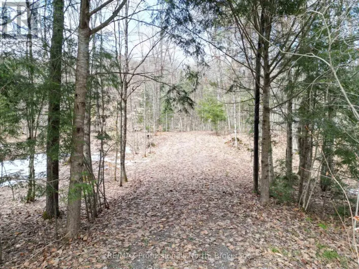 1231 BIG HAWK LAKE ROAD, Algonquin Highlands