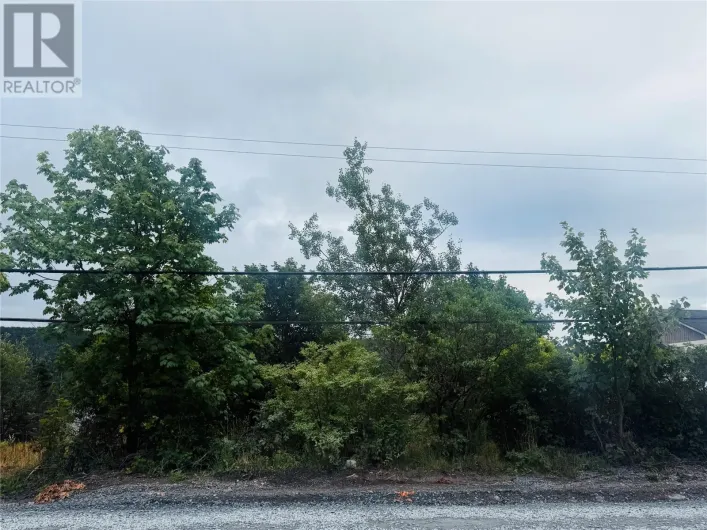 1253 Main Road, Dunville