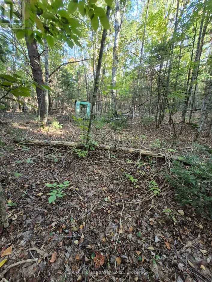 1257 HAMILTON ROAD, Minden Hills