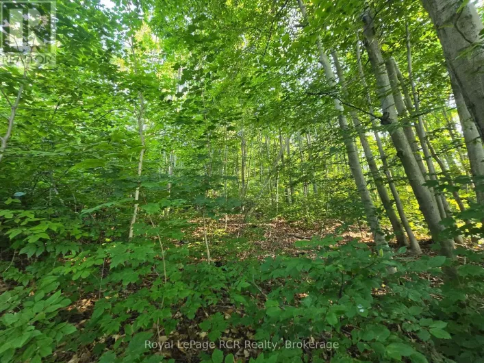 126 OLD HIGHWAY 26 HIGHWAY, Meaford