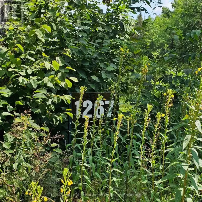 1267 SNAKE CREEK ROAD, Mattawan