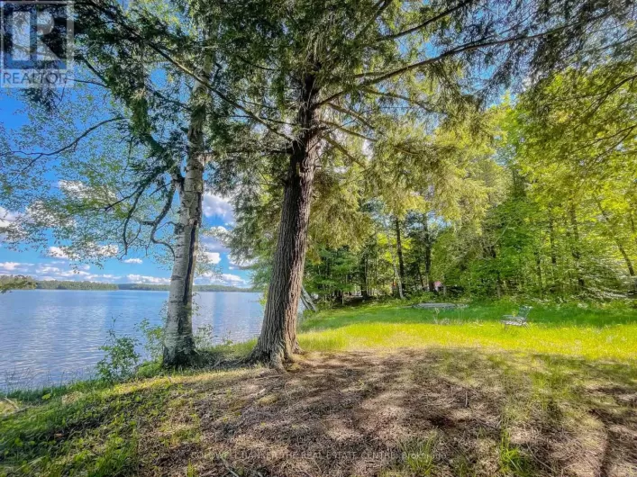 127 BLIND LINE, Armour