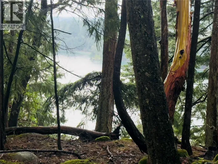 127 Halibut Hill Rd, Mudge Island