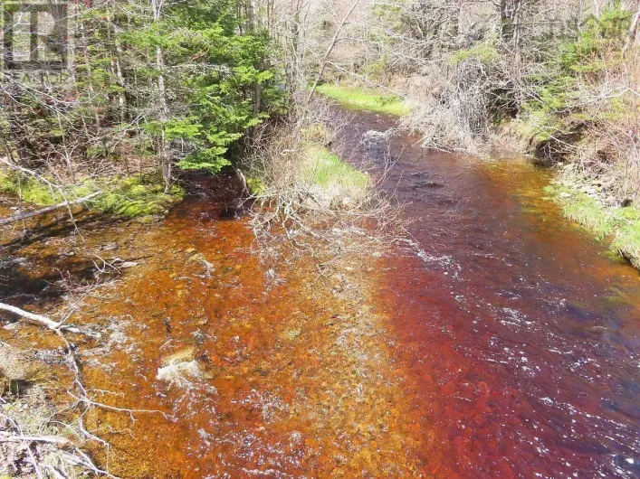 128.5 Acres West Side Road, West Side Country Harbour
