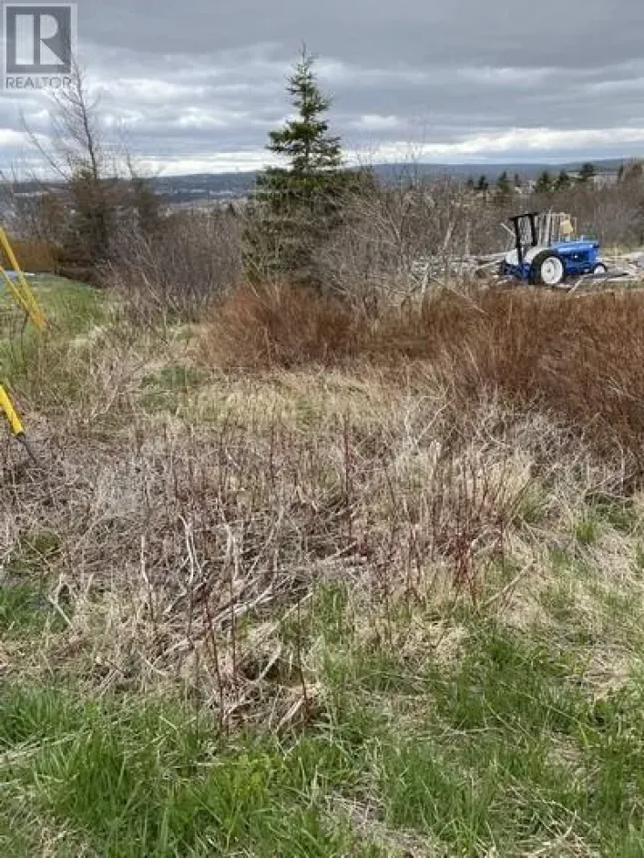 129A English Hill Road, Carbonear