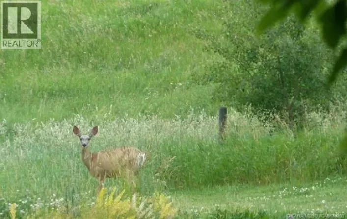 13, 420069 Range Road 284, Rural Ponoka County