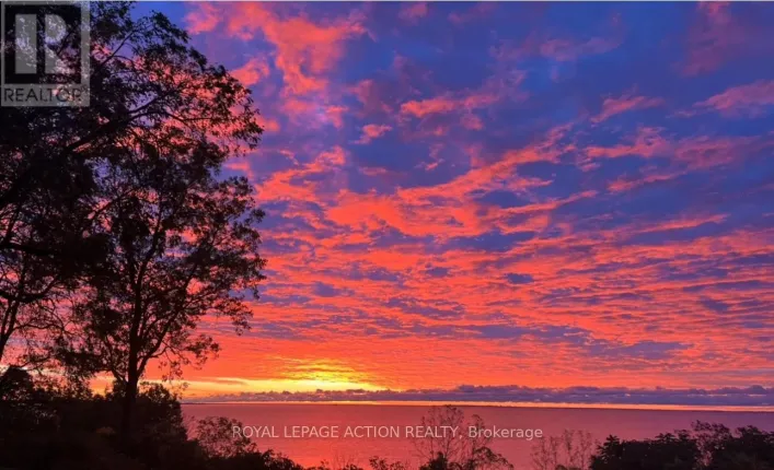 13 BLACK WALNUT DRIVE, Norfolk