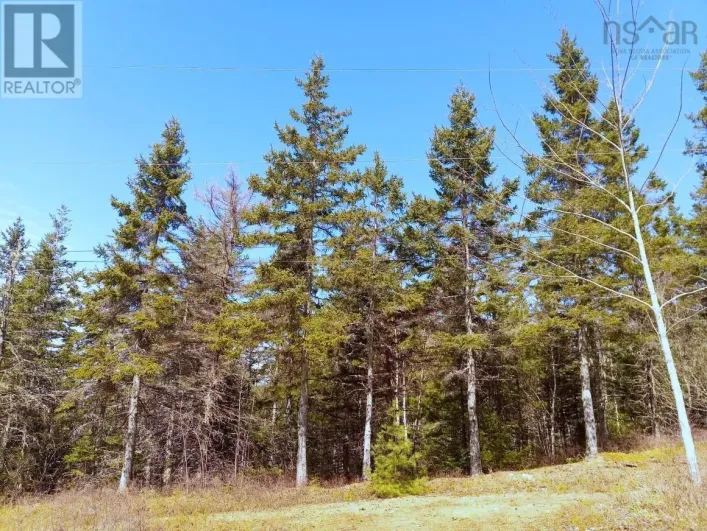 13 Johnny Cash Lane, Juniper Mountain