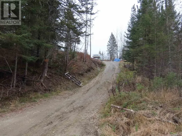 13 Pantilla RD, Searchmont