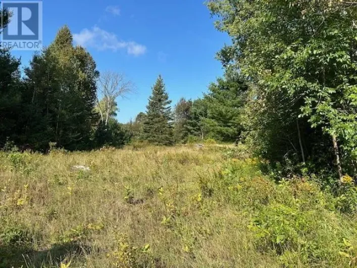 13 Riverview DR, Iron Bridge