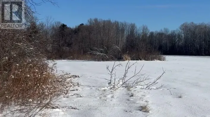 1306 SULPHIDE ROAD, Tweed)